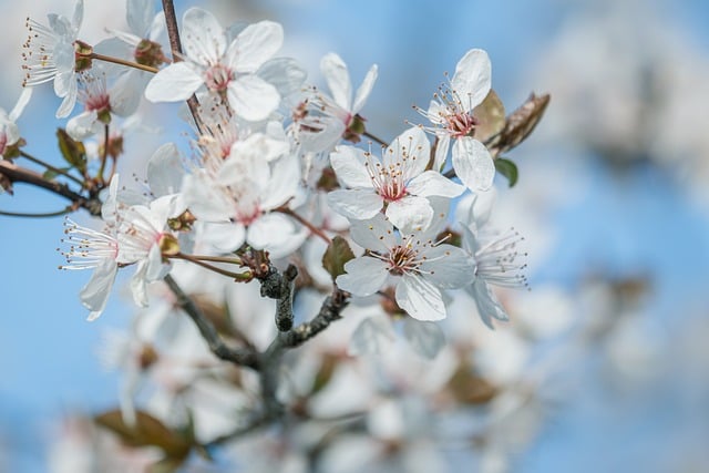 窓辺の自然光の中で水彩画を丁寧に描いている様子